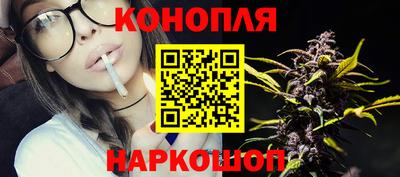 стаф Аргун
